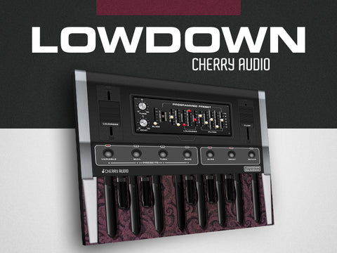 Lowdown Bass Synthesizer